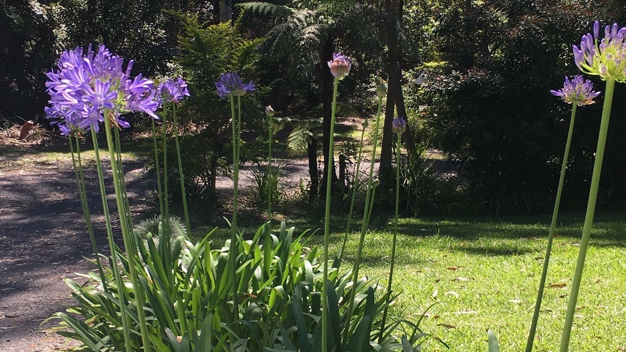Photo of Outdoor in Upper Orara