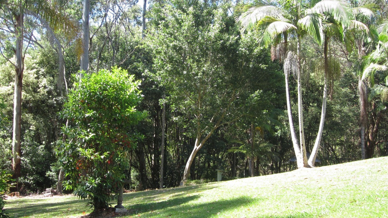 Photo of Outdoor in Upper Orara