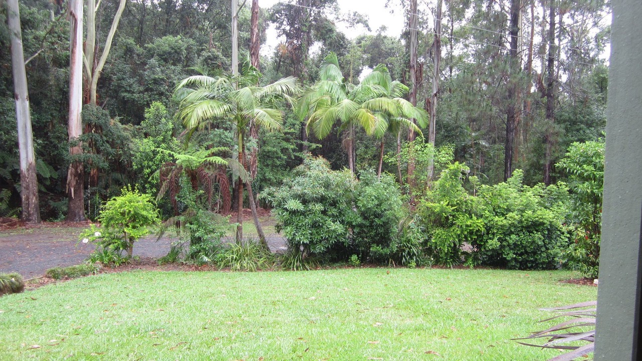 Photo of Outdoor in Upper Orara