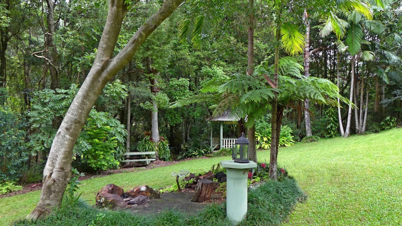 Photo of Outdoor in Upper Orara