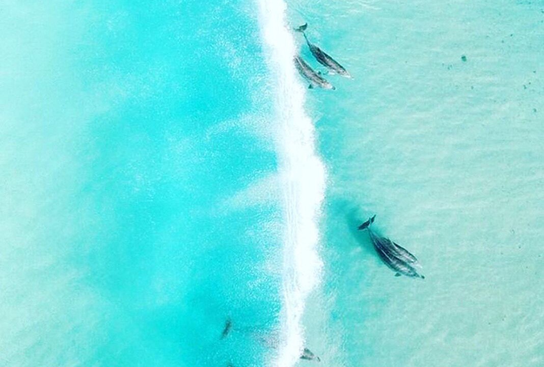 Photo of Others in Byron Bay