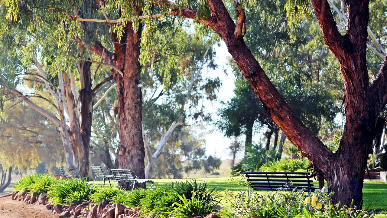Photo of Outdoor in Dubbo East