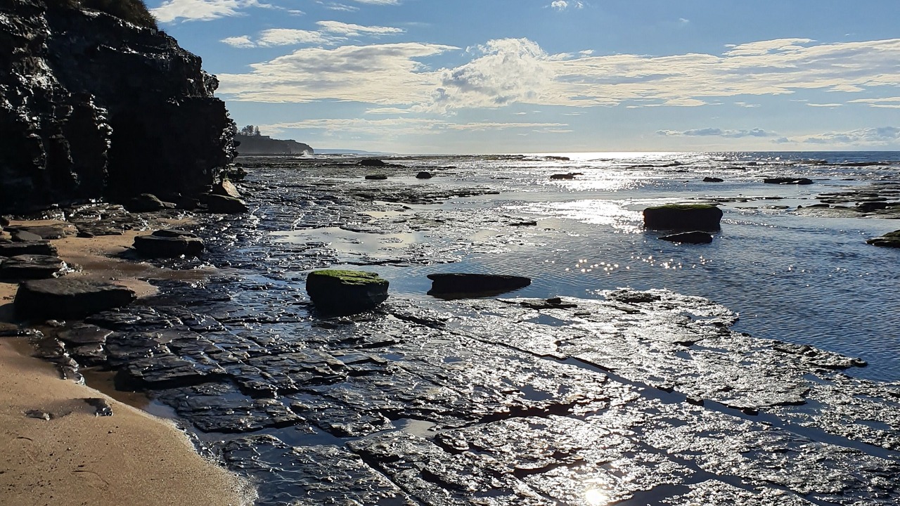 Photo of Others in Thirroul