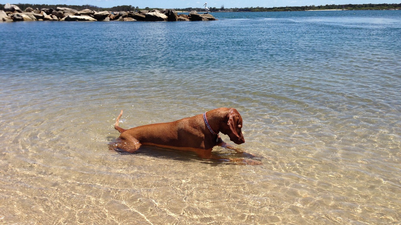 Photo of Others in Iluka