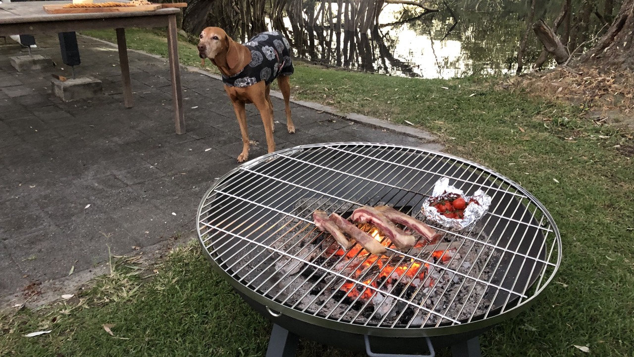 Photo of Outdoor in Iluka