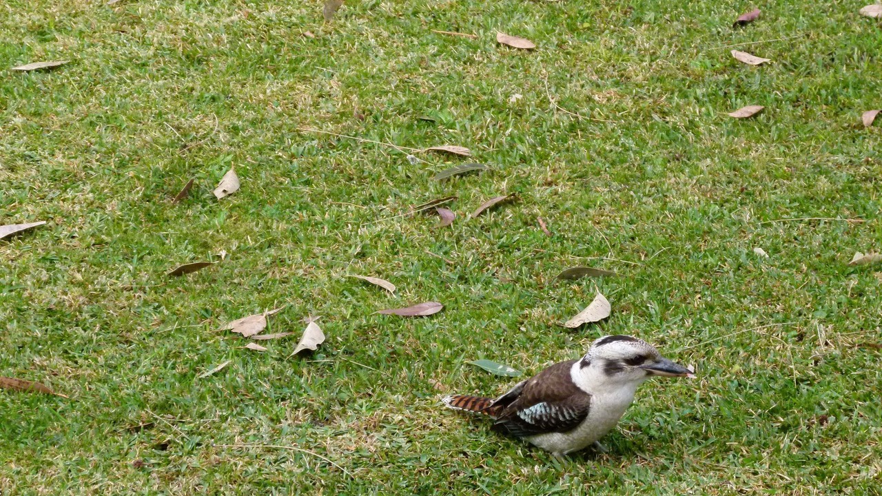 Photo of Outdoor in Sanctuary Point