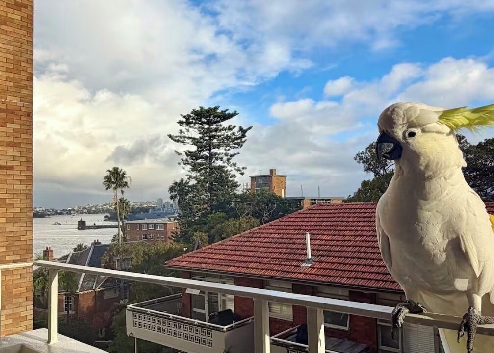 Photo of Others in Kirribilli