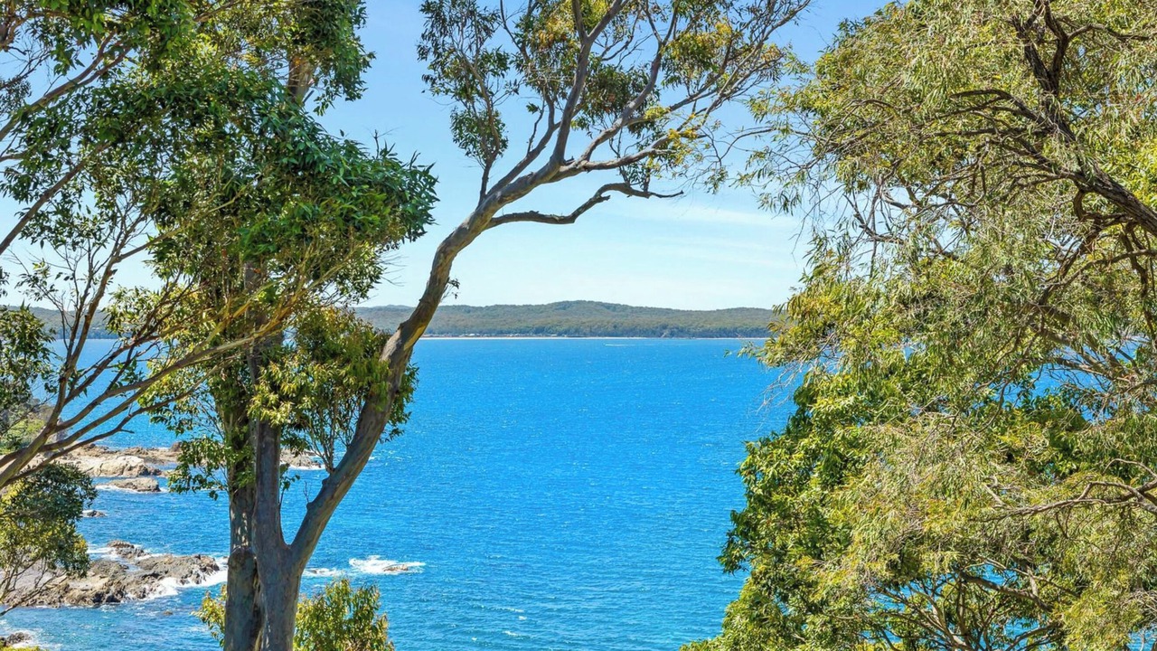Photo of Others in Denhams Beach