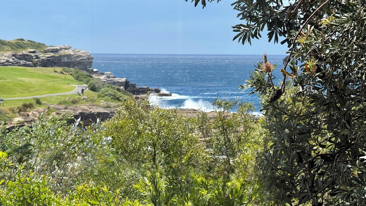 Photo of Others in Little Bay