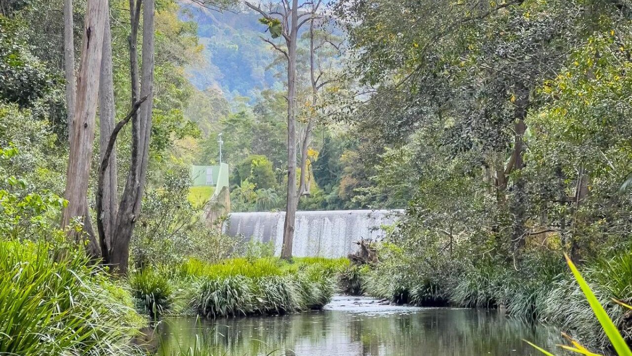 Photo of Others in Tallebudgera Valley