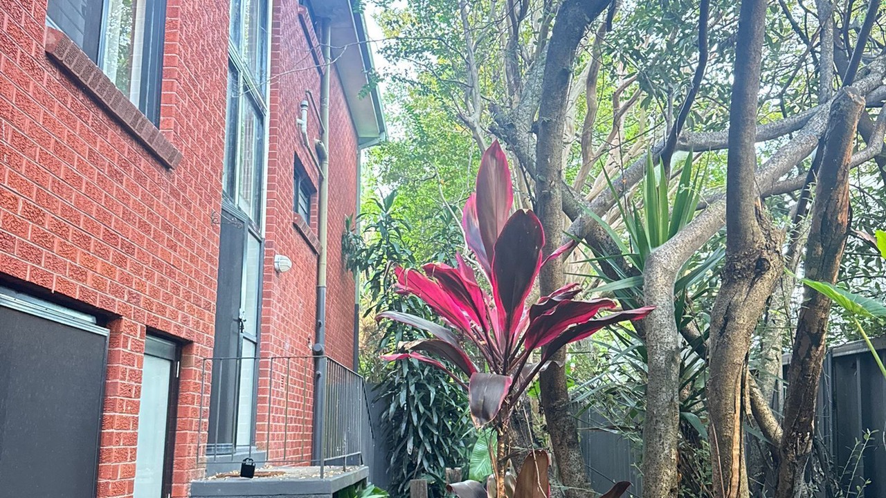 Photo of Outdoor in Cronulla