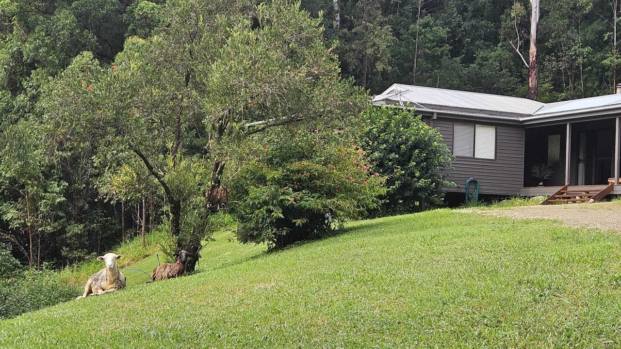 Photo of Outdoor in Upper Orara