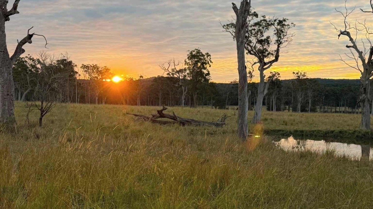 Photo of Others in Wyee