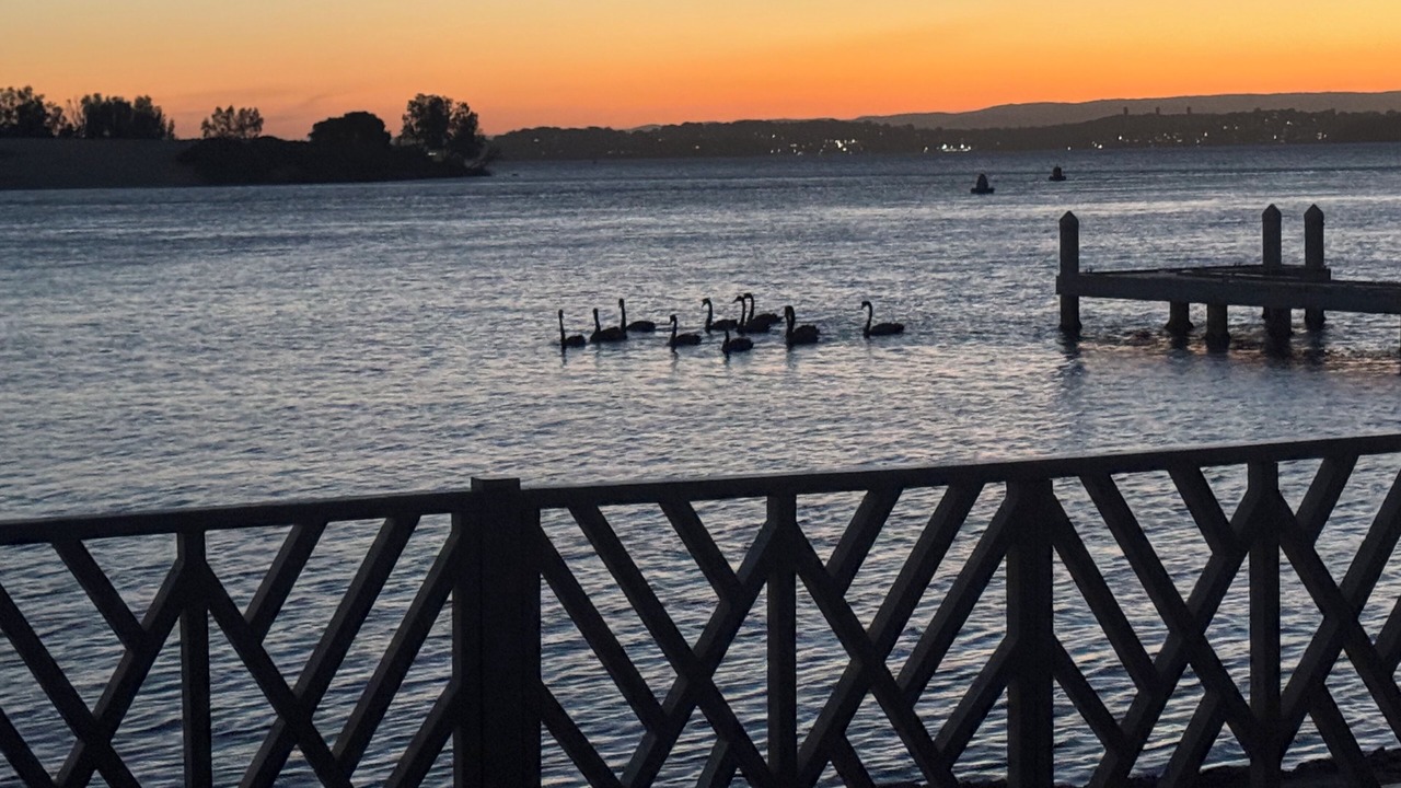Photo of Outdoor in Marks Point