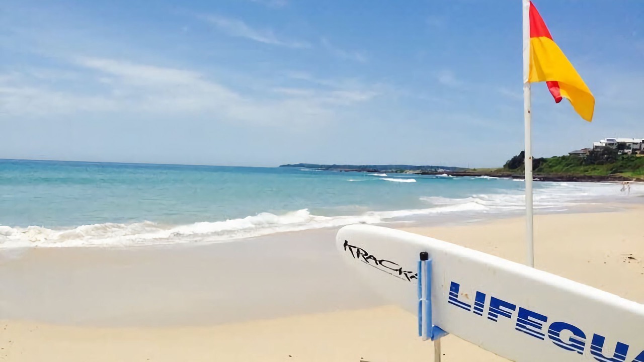 Photo of Others in Shellharbour