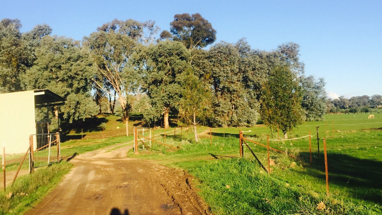 Photo of Outdoor in Bonegilla
