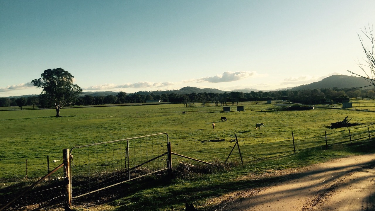 Photo of Others in Bonegilla