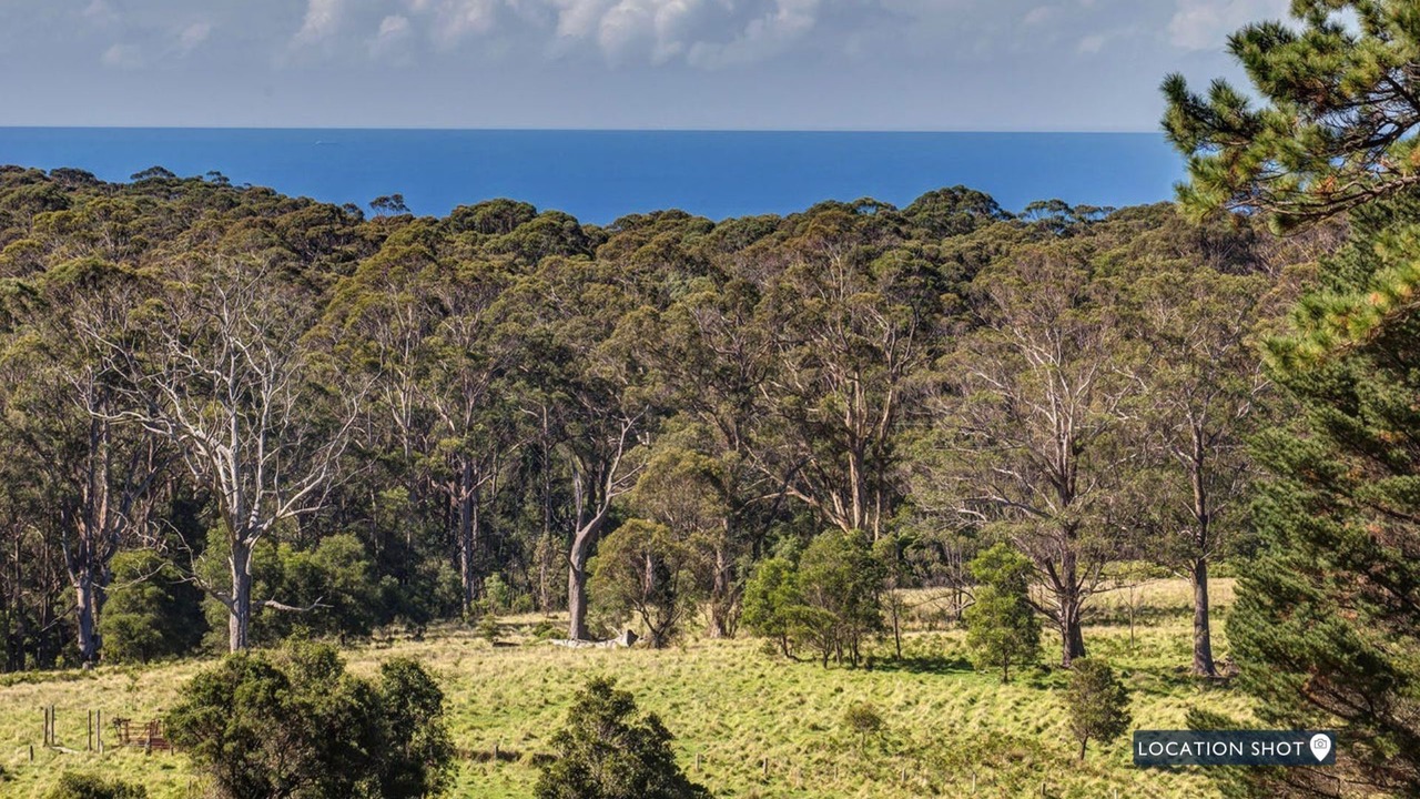 Photo of Others in Mount Murray