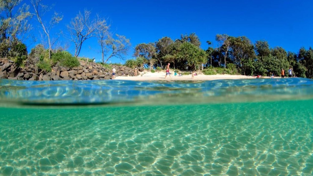 Photo of Others in Mullumbimby