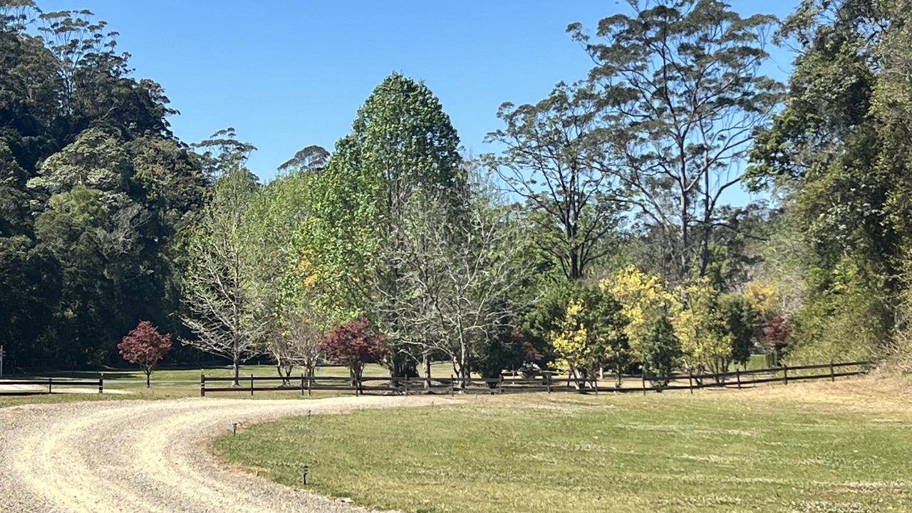 Photo of Outdoor in Upper Orara
