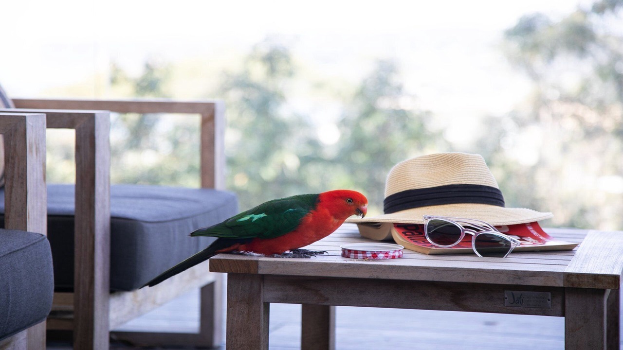 Photo of Outdoor in North Avoca