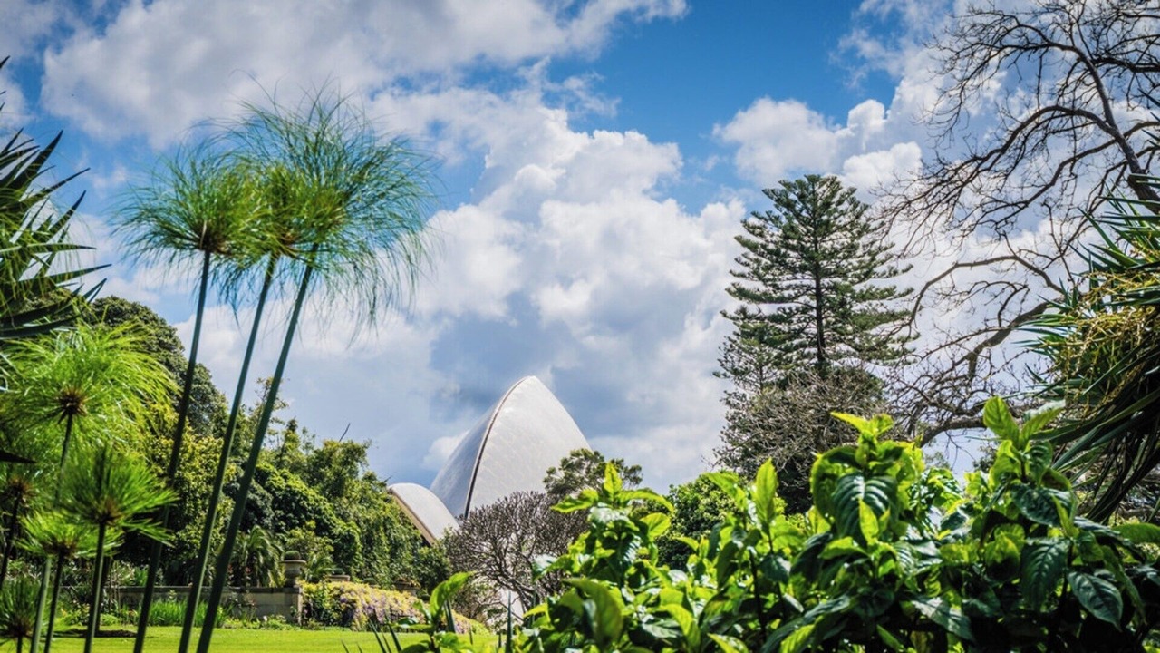 Photo of Outdoor in Homebush West