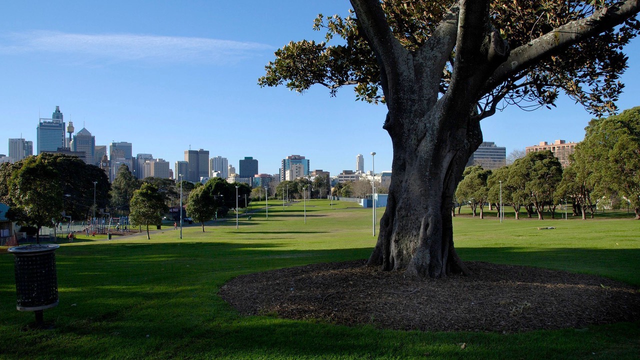 Photo of Outdoor in Darlinghurst