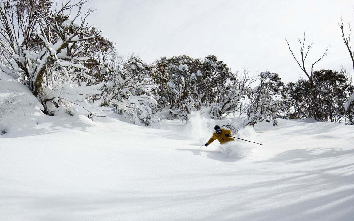 Photo of Others in Thredbo