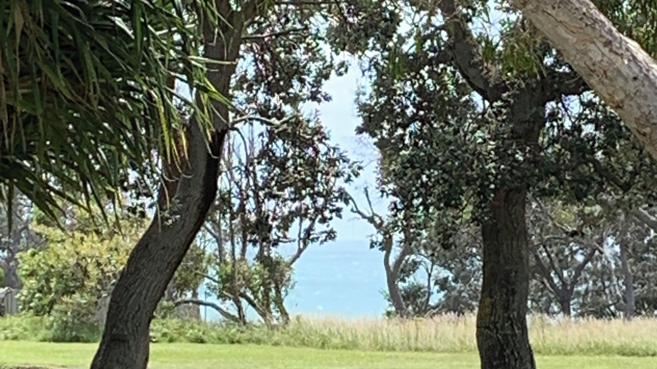 Photo of Others in Minnie Water
