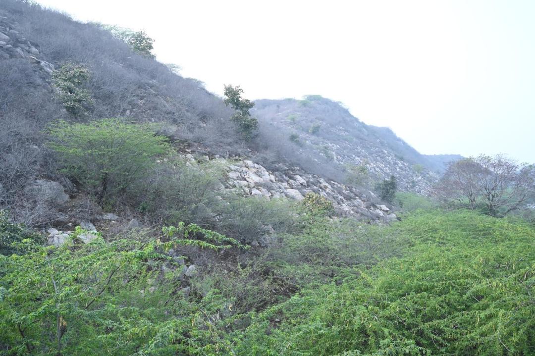 Photo of Others in Amer