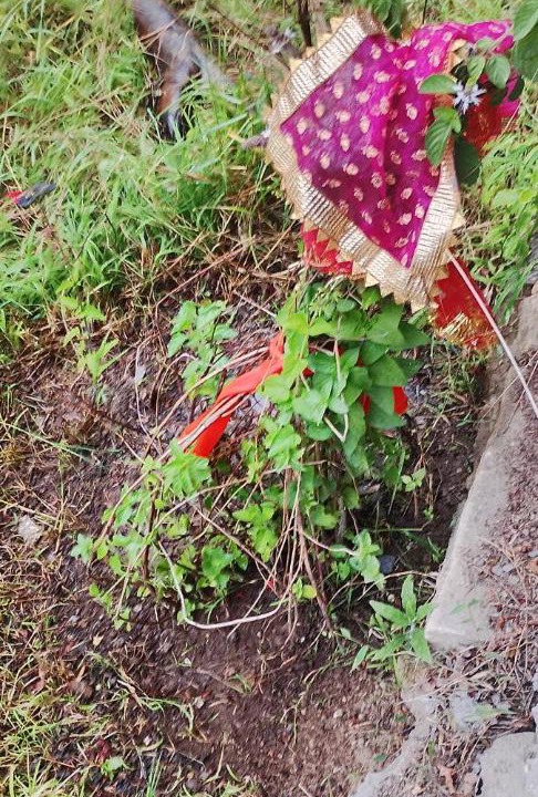 Photo of Outdoor in Mohal
