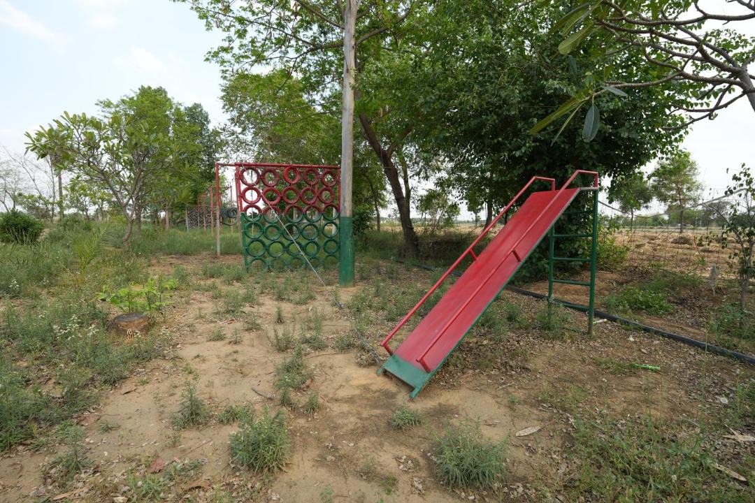 Photo of Outdoor in Palwal