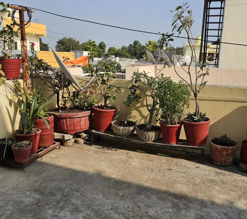 Photo of Others in Bhopal