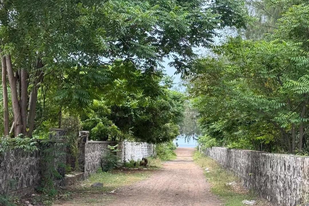 Photo of Others in Mahabalipuram