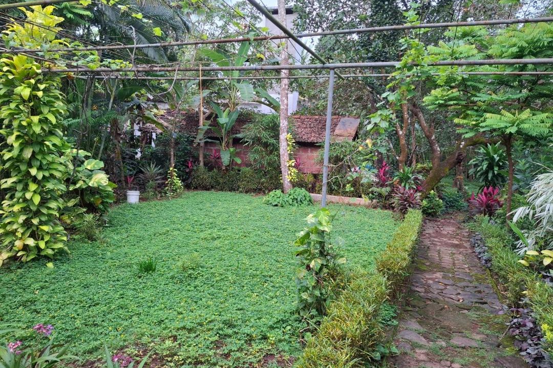 Photo of Others in Talipparamba