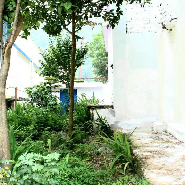 Photo of Others in Ukhimath