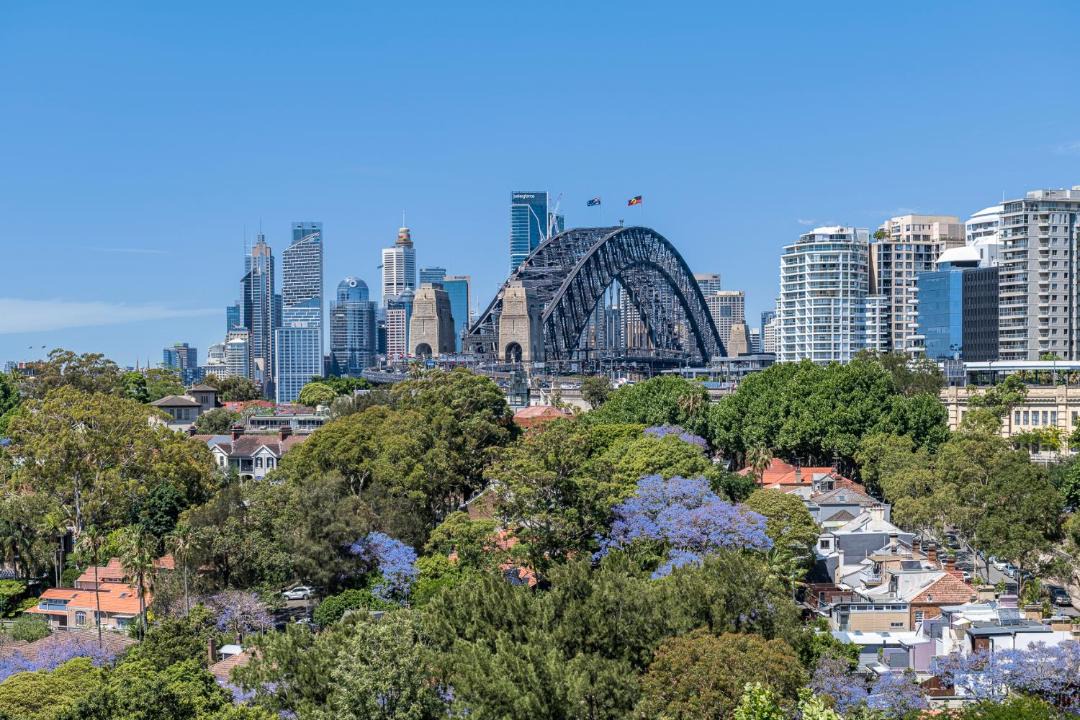 Photo of Others in North Sydney