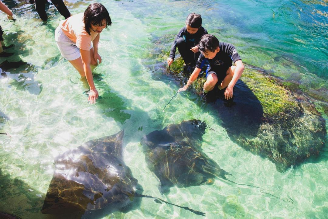 Photo of Others in Nelson Bay