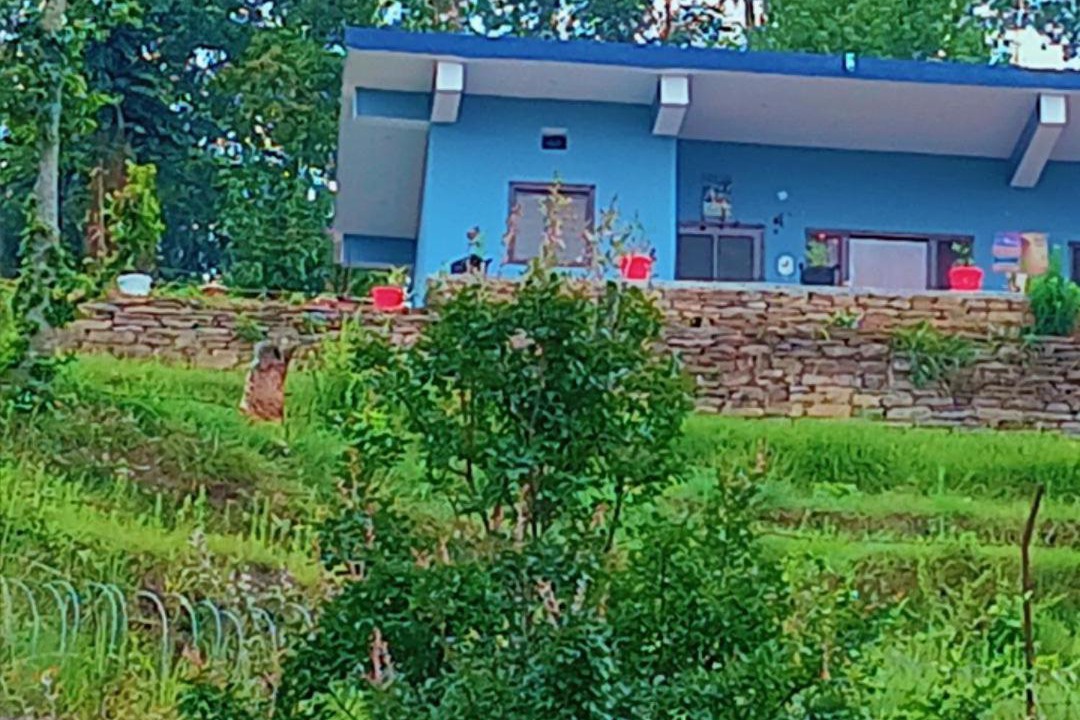 Photo of Others in Almora