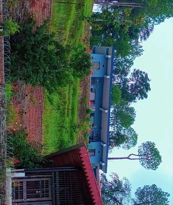 Photo of Others in Almora