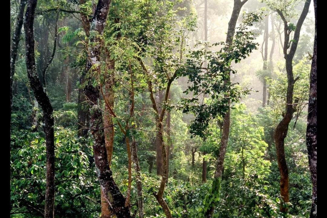 Photo of Others in Kaimane