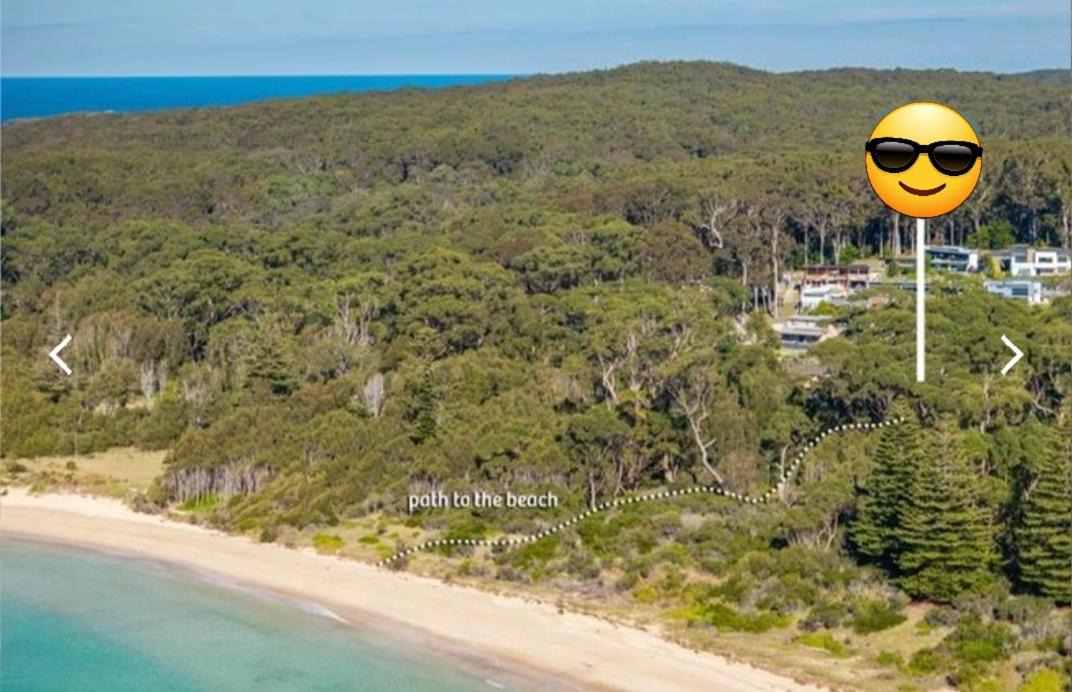 Photo of Others in South Durras