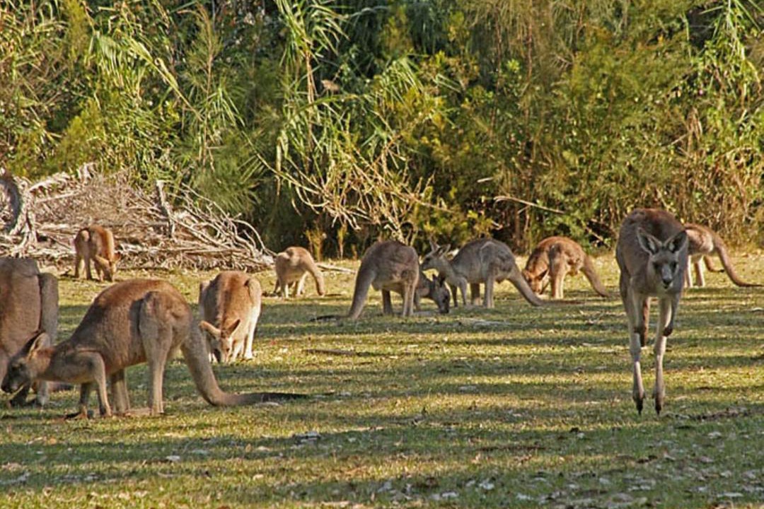 Photo of Others in Fishing Point