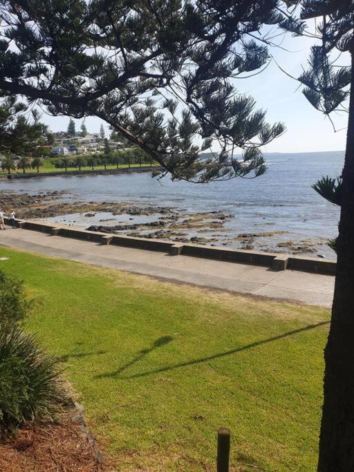 Photo of Others in Kiama