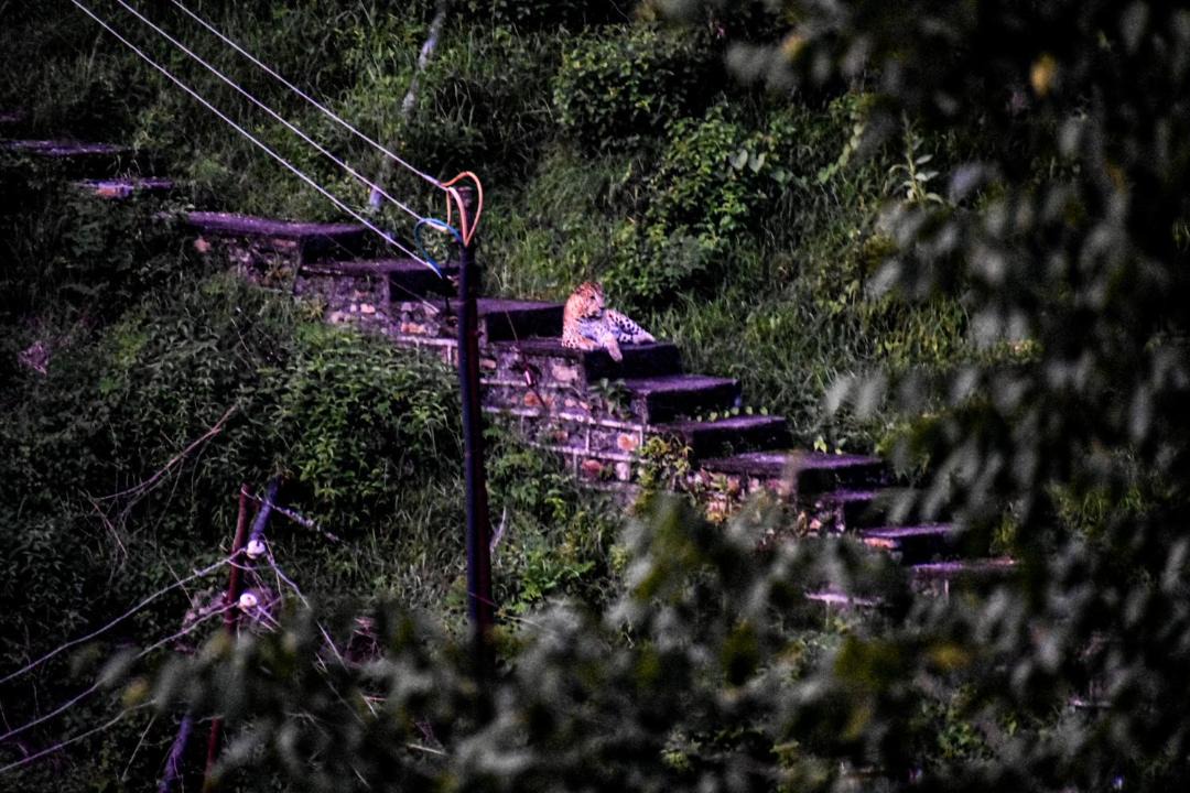 Photo of Others in Almora