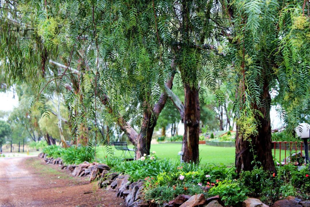 Photo of Others in Dubbo