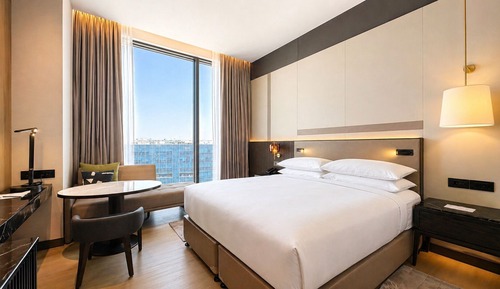 Room, 1 King Bed